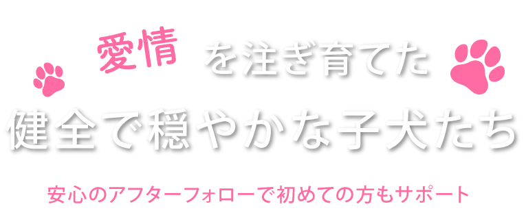 社会性を身につけながら育成