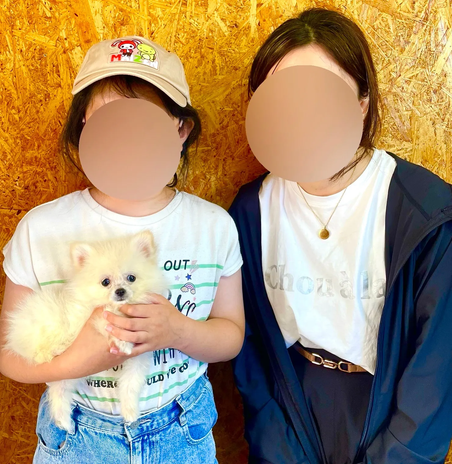 ポメラニアンの男の子お引き渡し致しました！