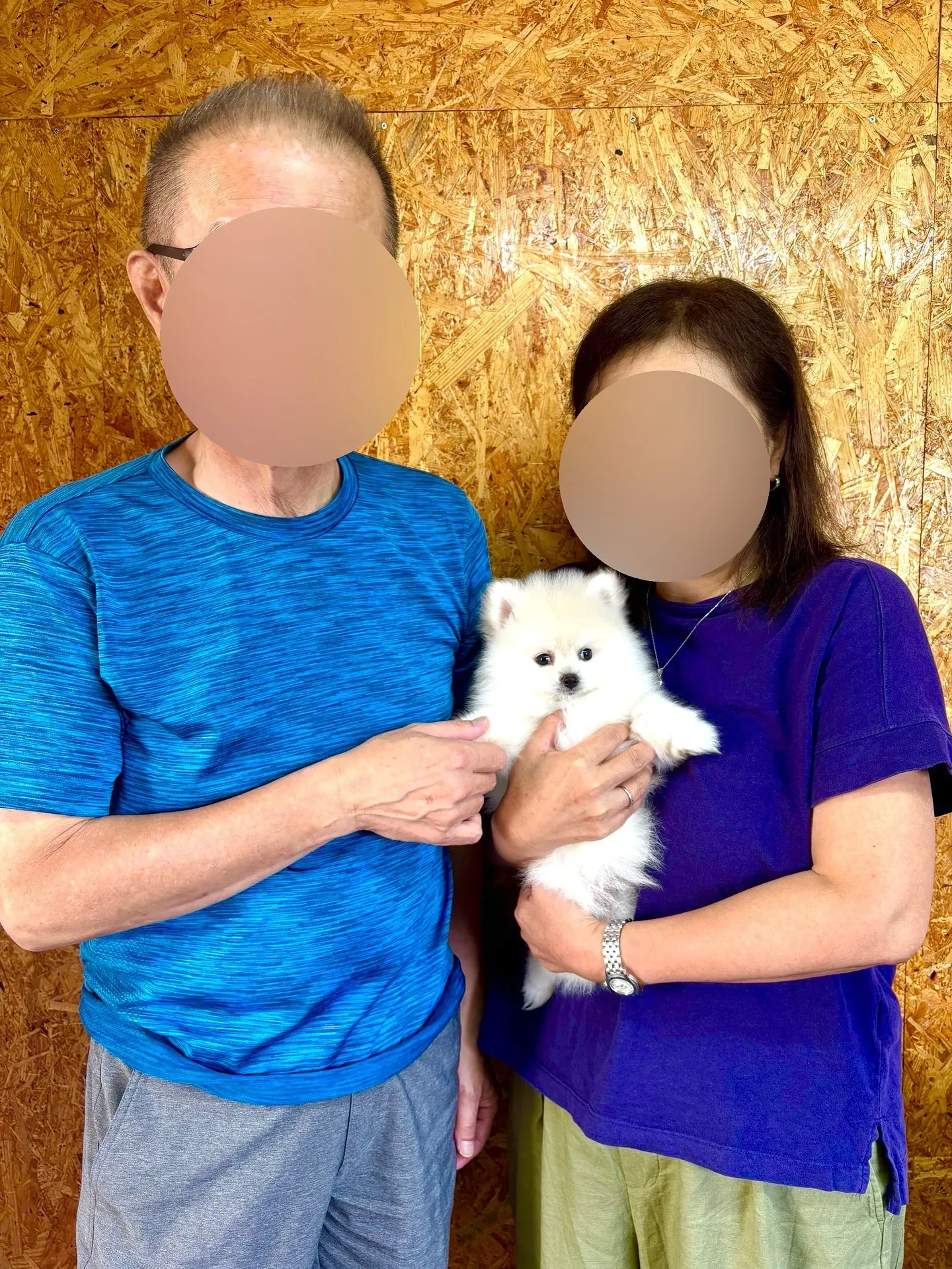 昨日は、茨城県の素敵なご家族様がポメラニアンの男の子をお迎え...