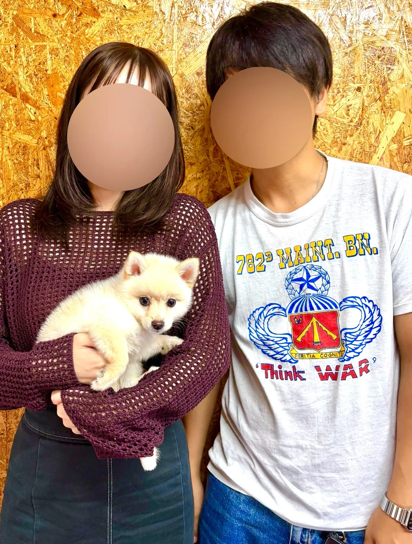 本日、静岡県のご家族様がポメ柴の男の子をお迎えにお越し下さい...
