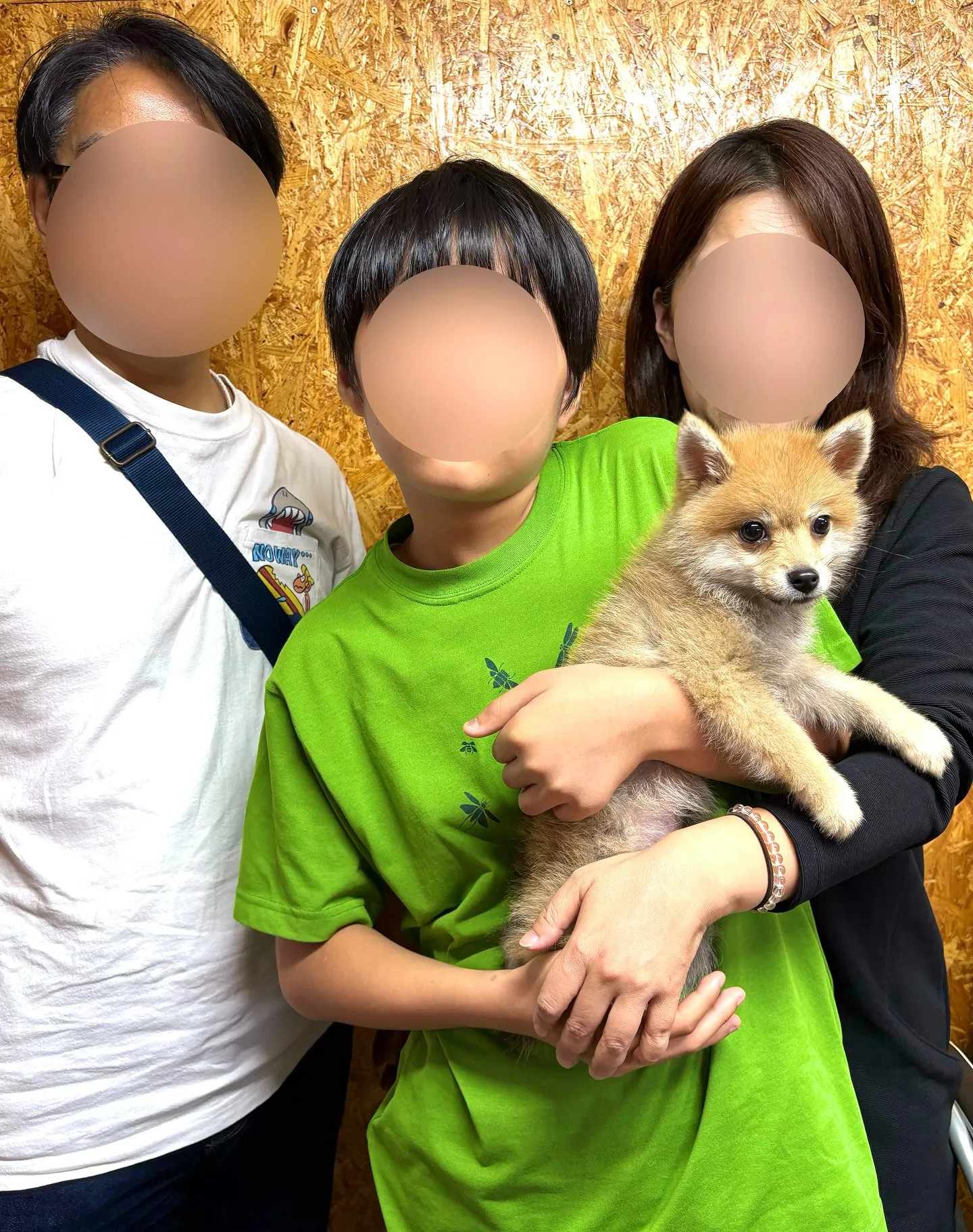 東京都のご家族様がポメ柴の男の子をお迎えにお越し下さいました...