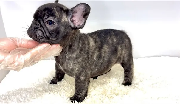 2025年9月4日生まれ