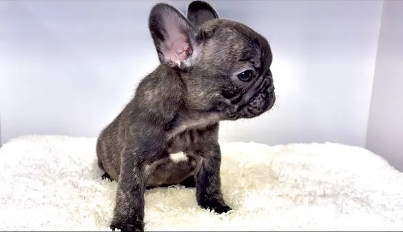 2025年9月4日生まれ