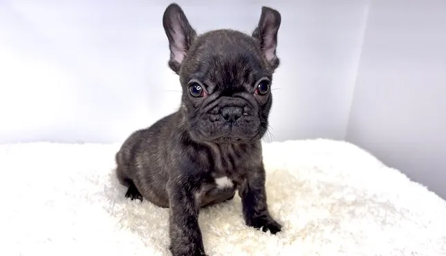 2025年9月4日生まれ