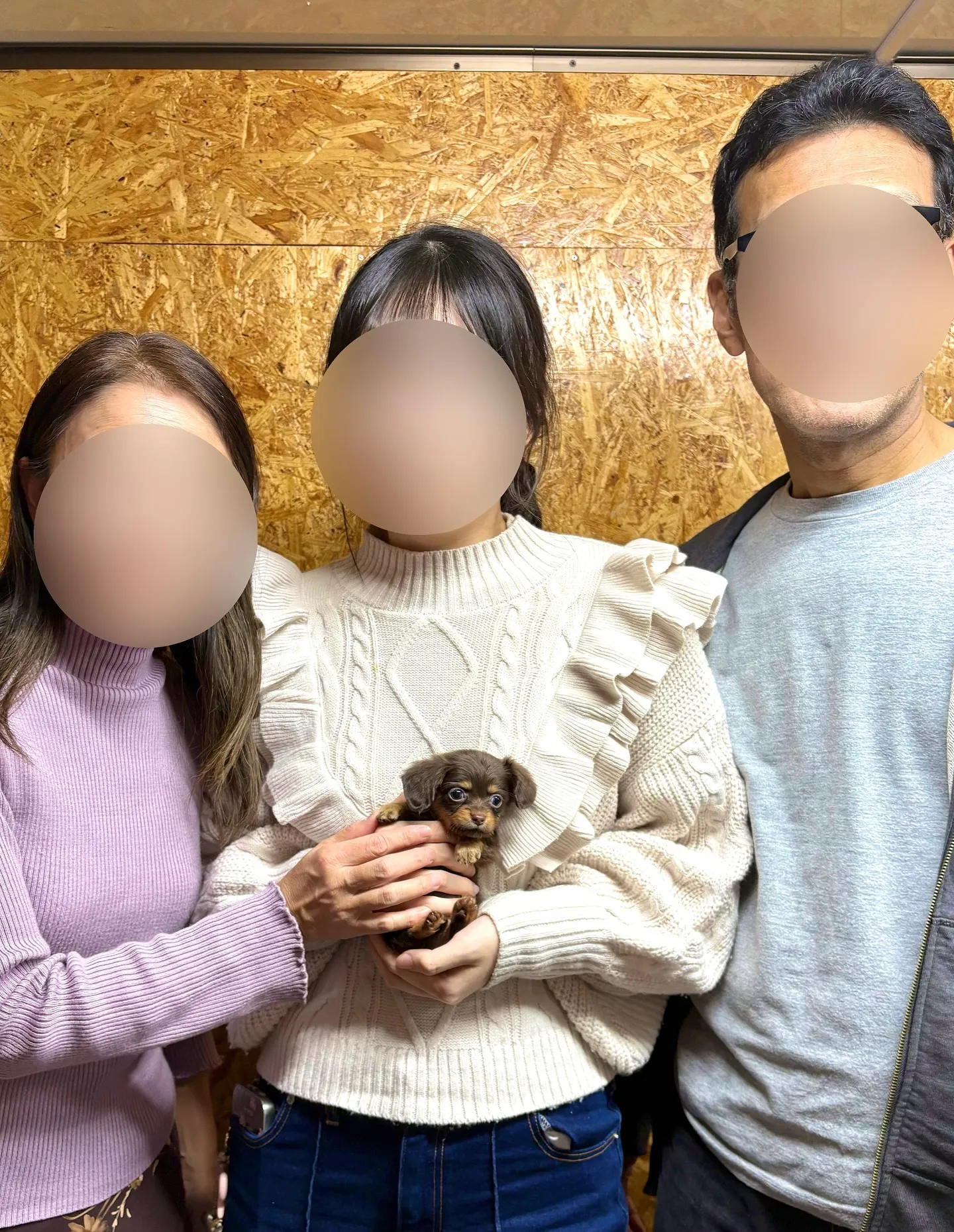 本日、東京都のご家族様がチワックスの女の子をお迎えにお越し下...