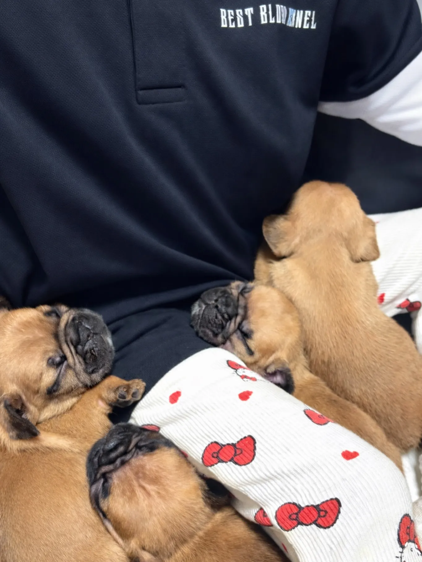 『娘のひざの上は天使の集合場所🐶』