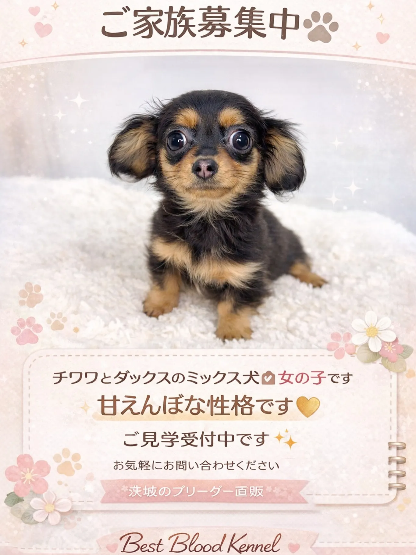 成長に合わせて販売価格を少し見直しました✨