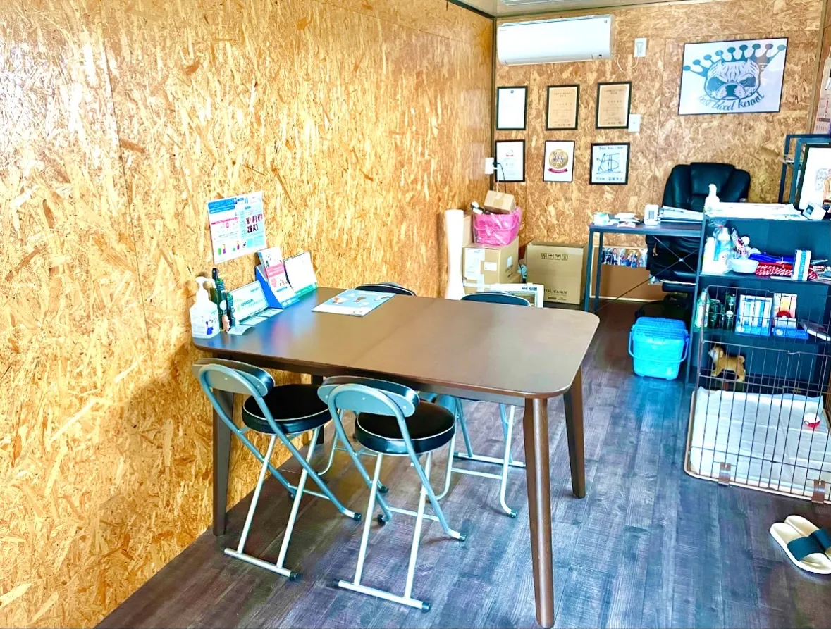 当犬舎の見学スペースをご紹介します🏡✨