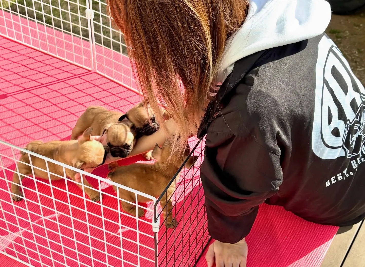 人とのふれあいは、子犬たちの大切な社会性を育てる時間✨