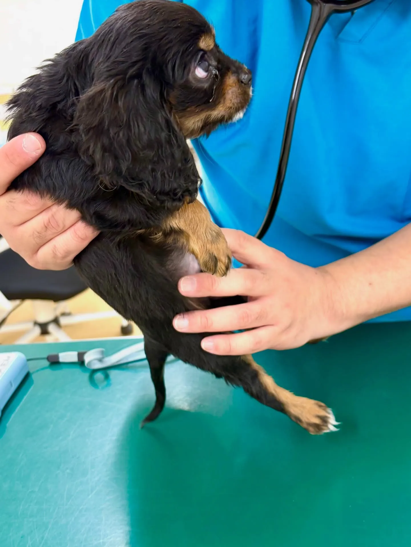 今日はワクチン接種と健康診断の日でした🩺