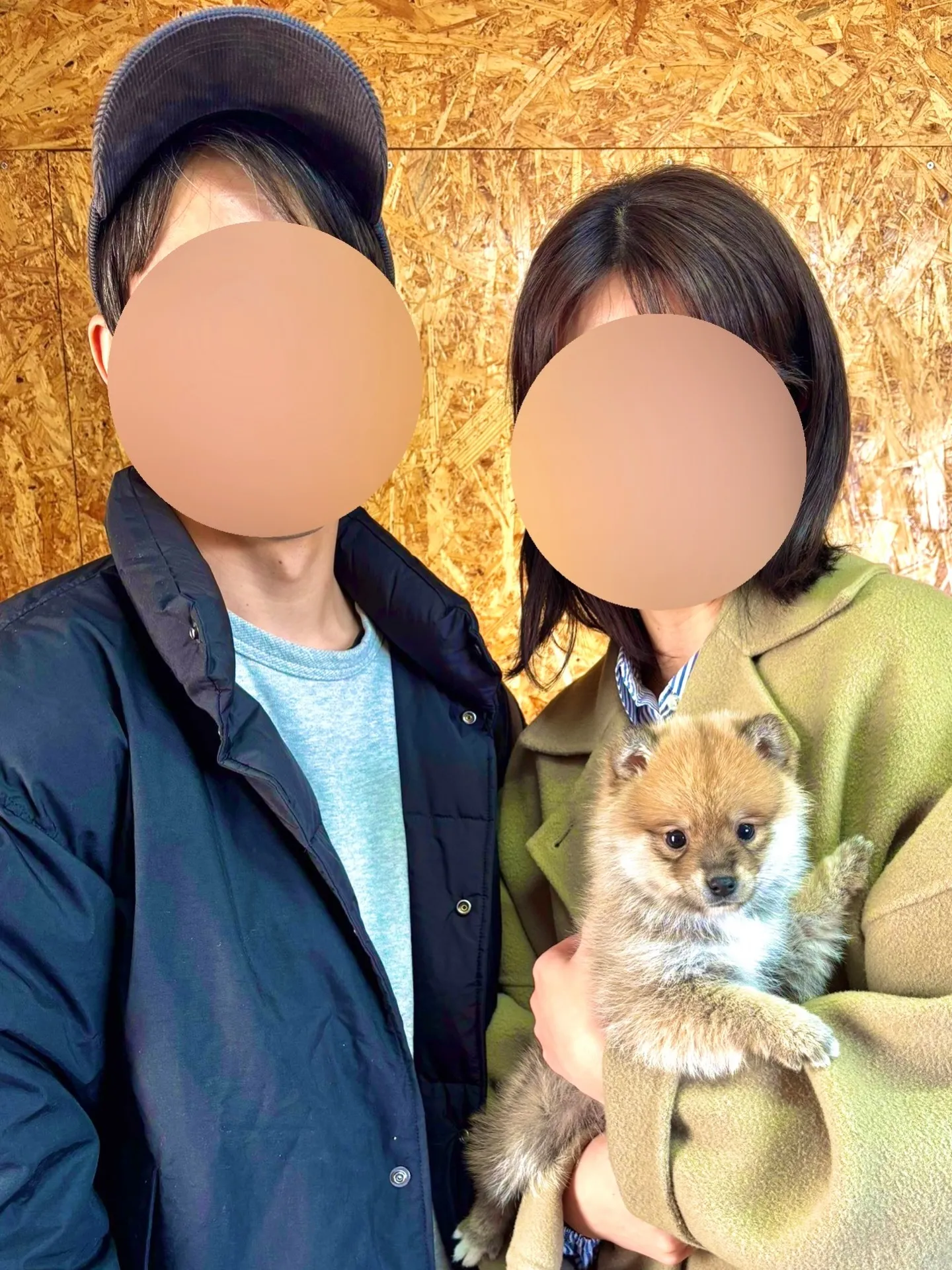 本日、東京都のご家族様がポメ柴の男の子をお迎えにお越し下さい...