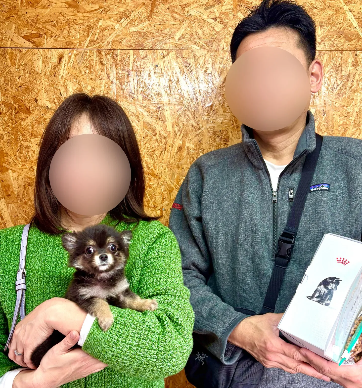 本日、埼玉県のご家族様がチワポメの女の子のお迎えにお越し下さ...