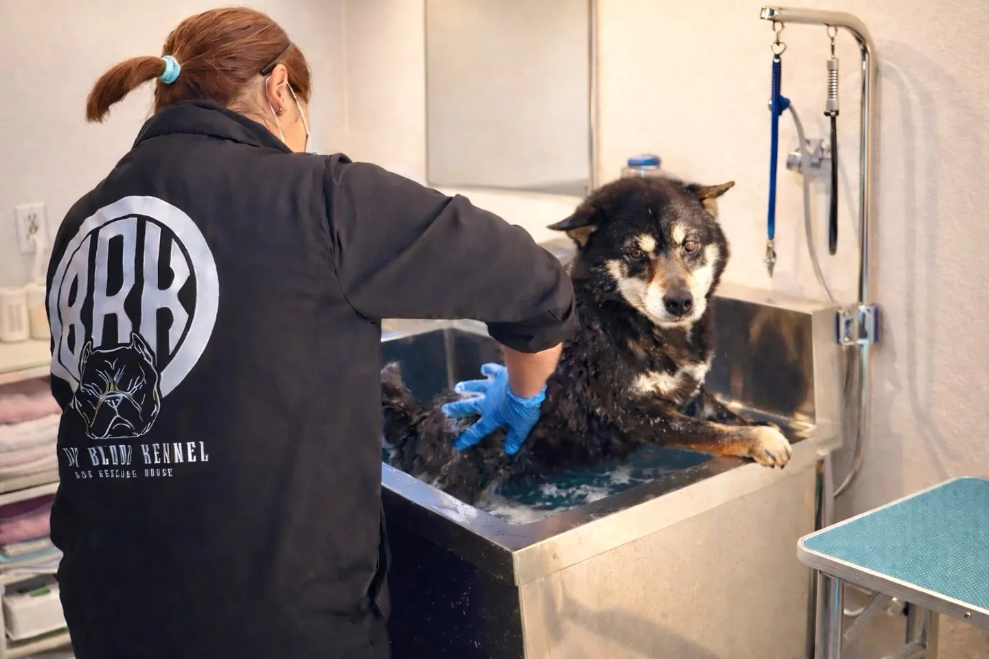 犬たちの健康管理のため、定期的にシャンプーやケアを行っていま...