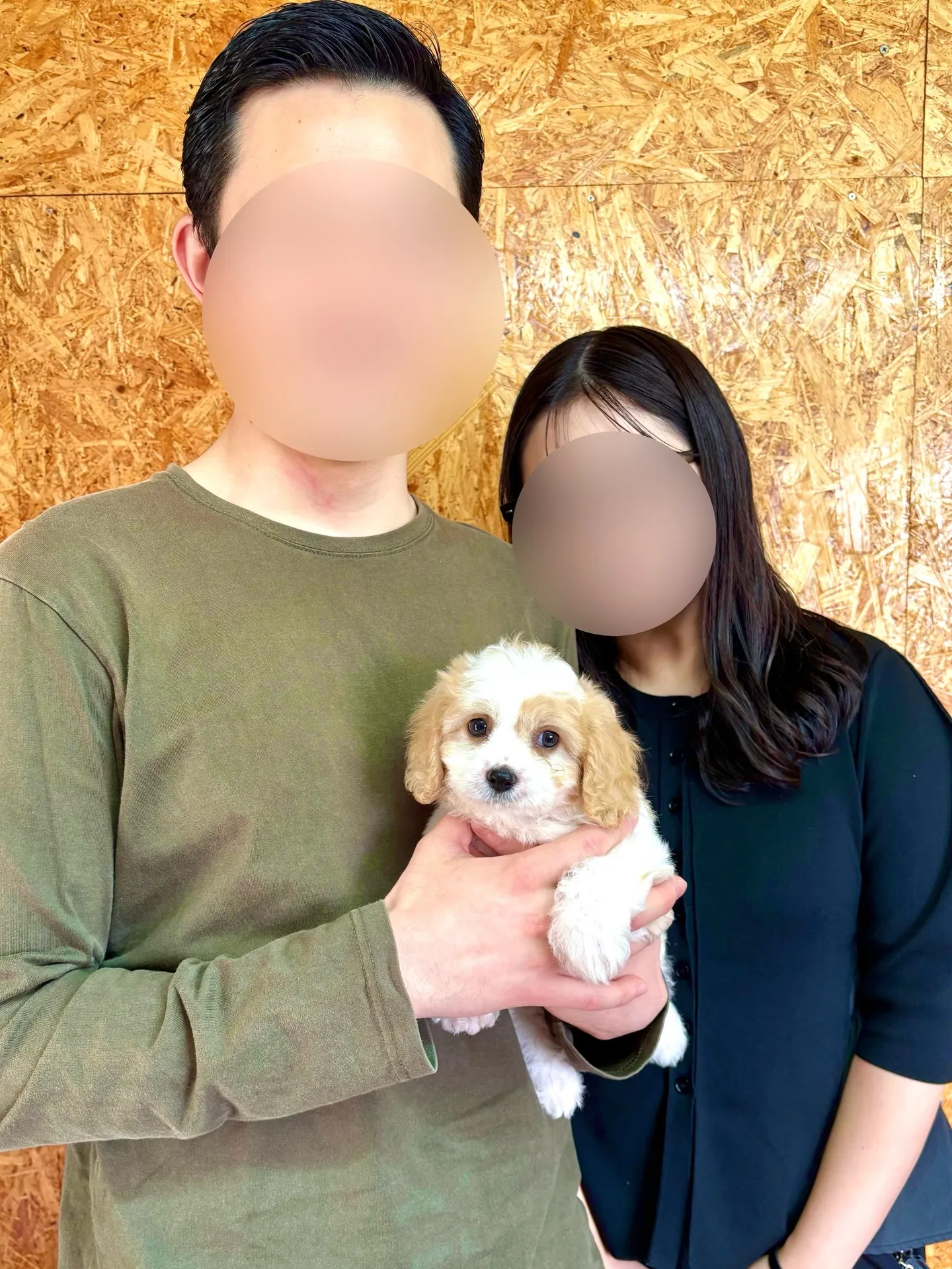 本日、東京都のご家族様がキャバションの女の子をお迎えにお越し...