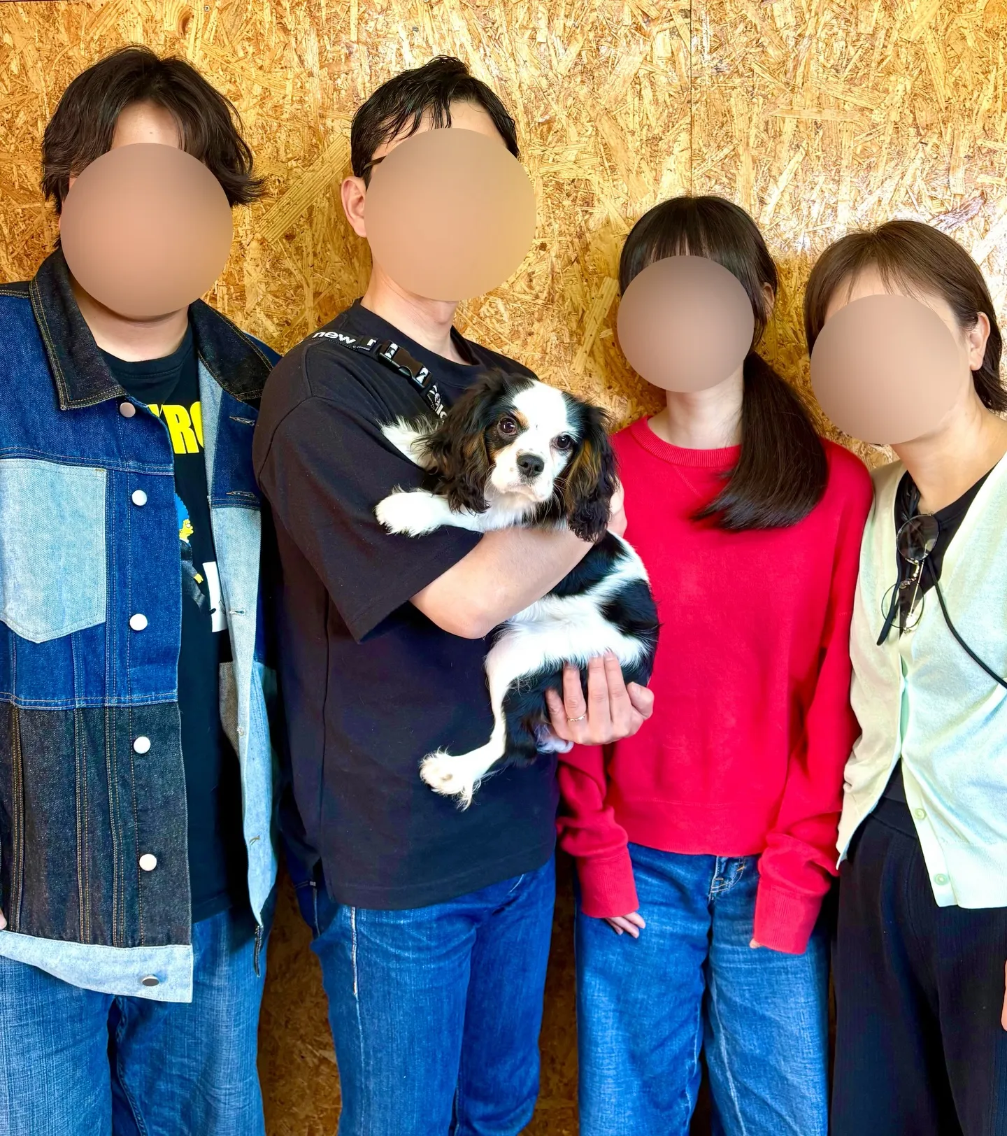 本日、茨城県のご家族様がキャバリアの男の子のお迎えにお越し下...