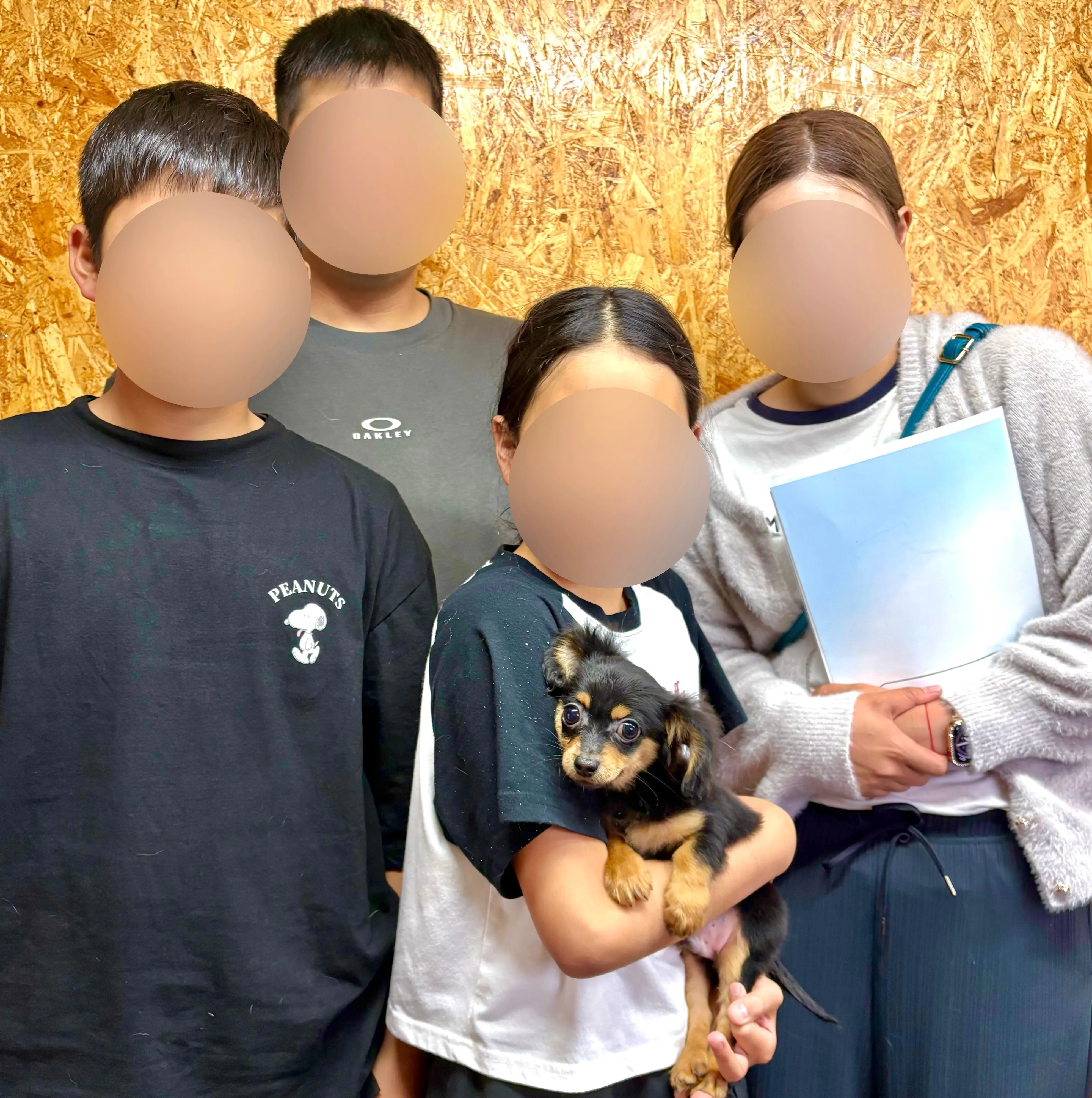 本日、栃木県のご家族様がチワックスの男の子をお迎えにお越し下...