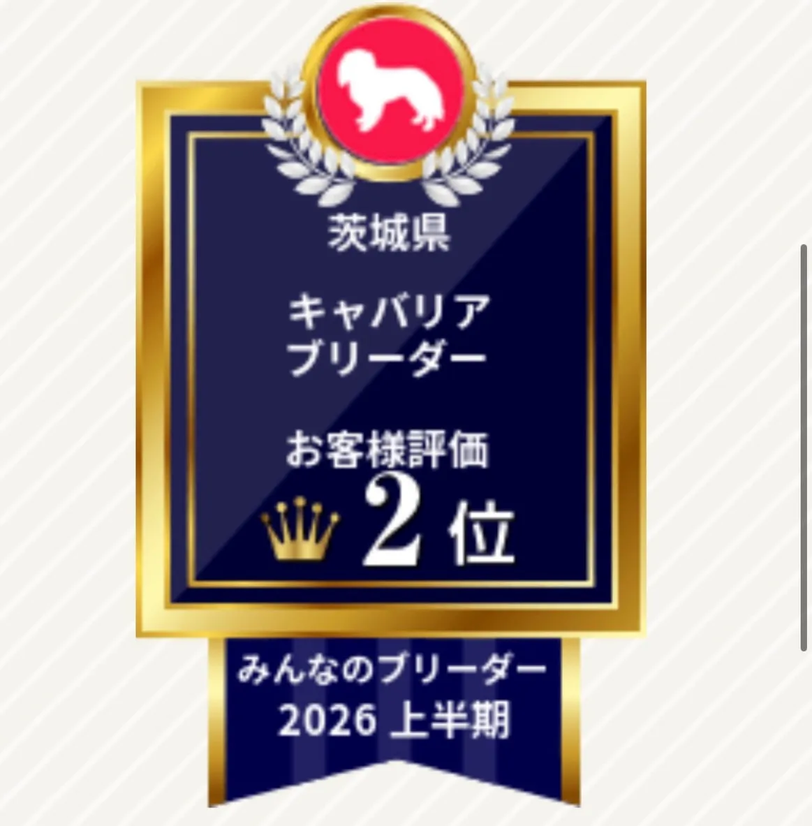🏆ご報告🏆 