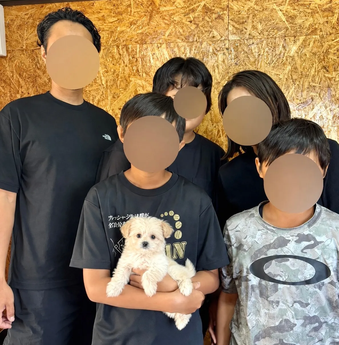 本日、茨城県のご家族様がポメプーの男の子のお迎えにお越し下さ...