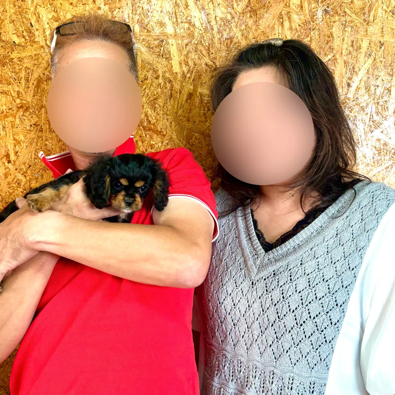 茨城県のご家族様がキャバリアの男の子のお迎えにお越し下さいま...