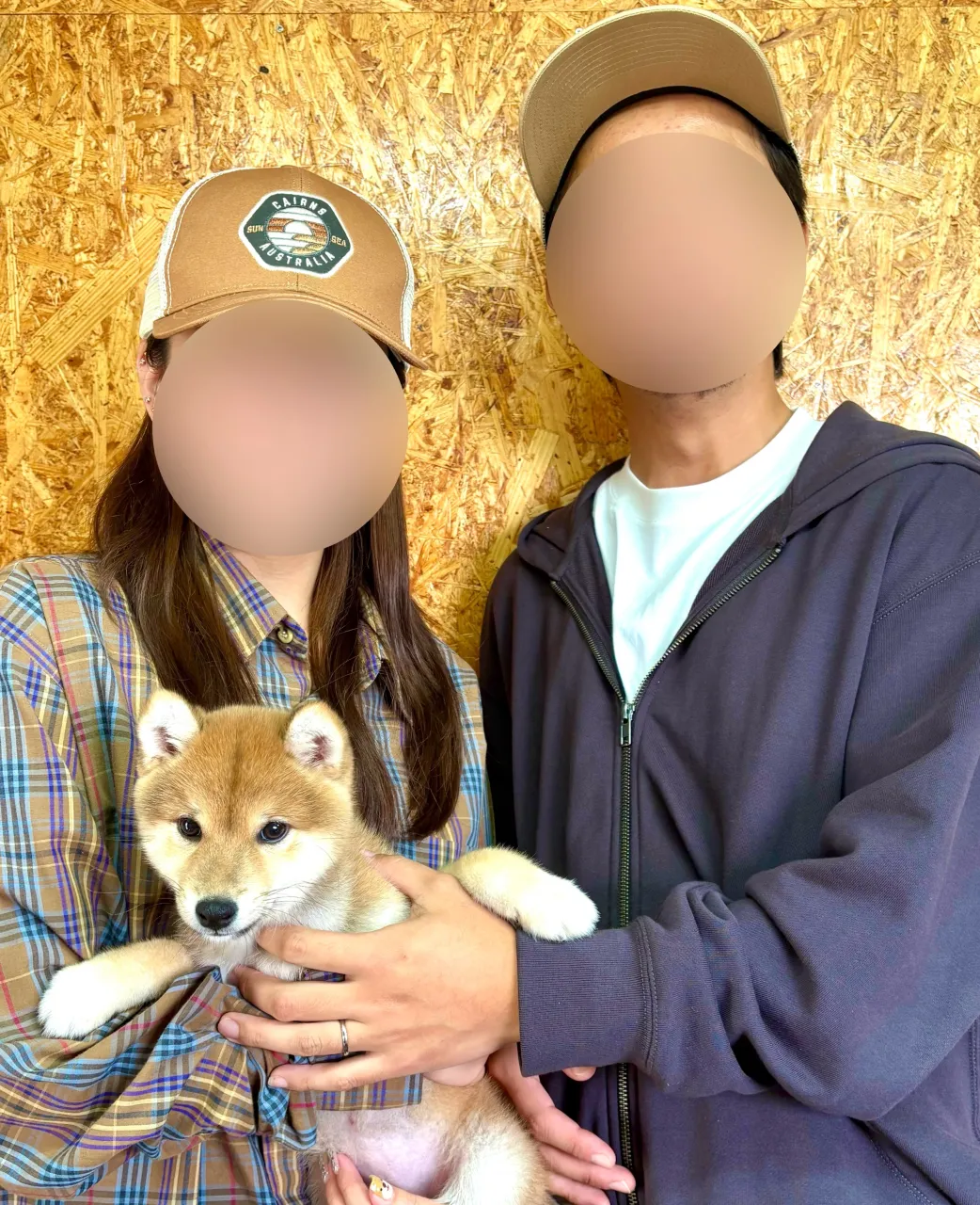 千葉県のご家族様が柴犬の女の子のお迎えにお越し下さいました!...