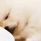 アフターフォロー