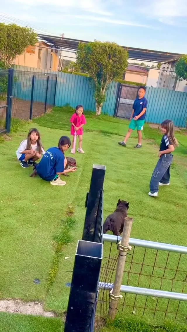 今日は近所の子供達が犬達と遊びにきてくれました🐶✨