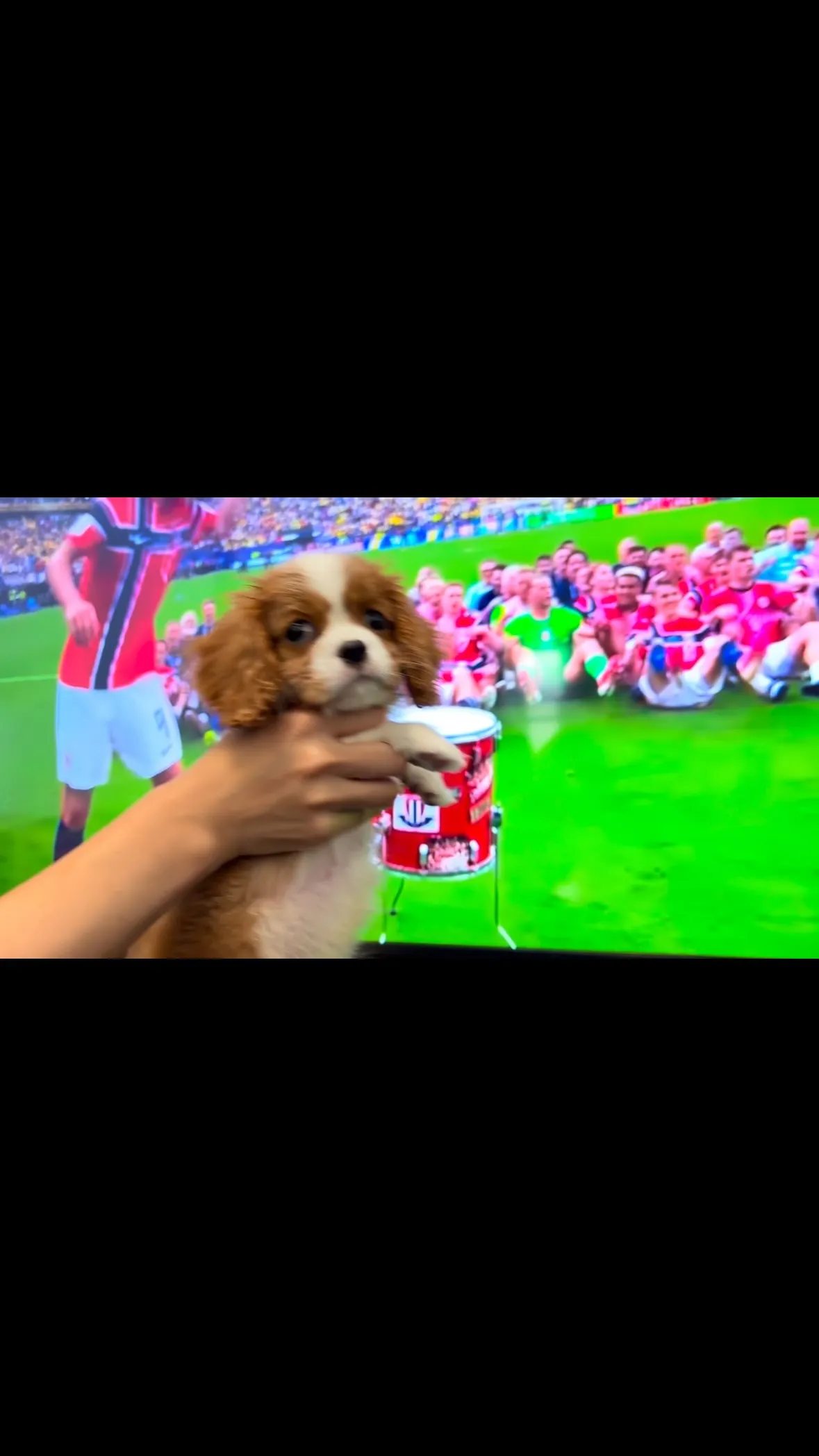 🐶❤️