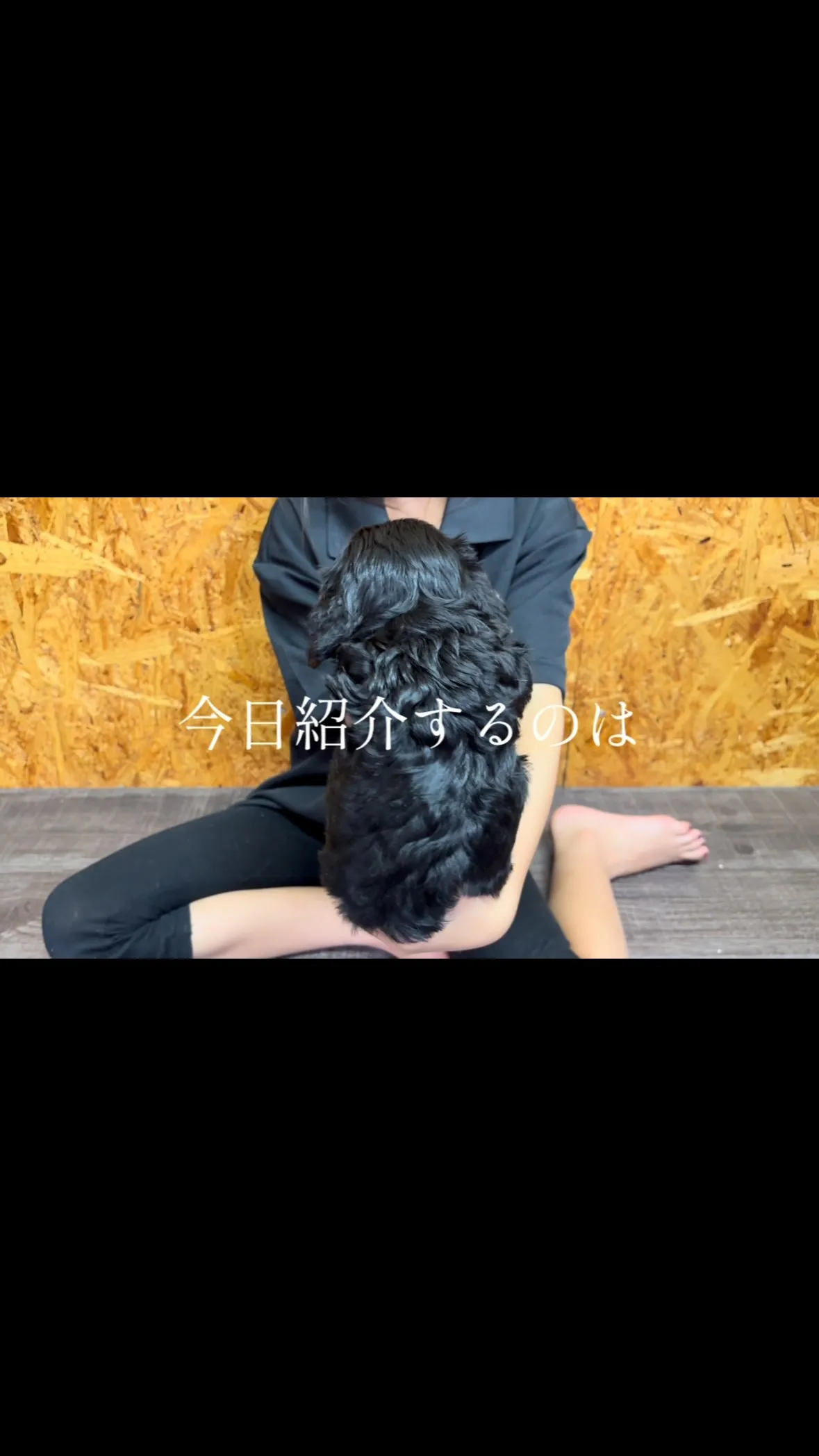 茨城県坂東市にてキャバリアの女の子のご家族様を募集しておりま...