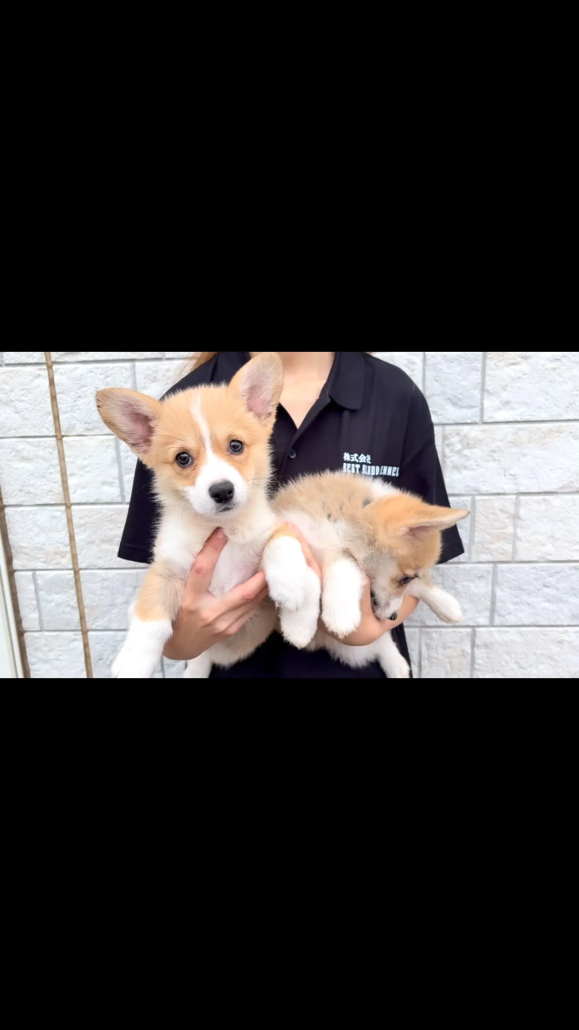 可愛いすぎ❤️