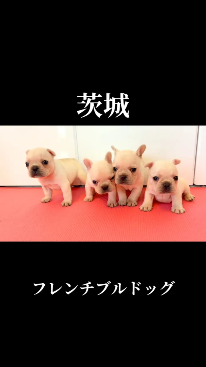 可愛すぎる❤️‍🔥